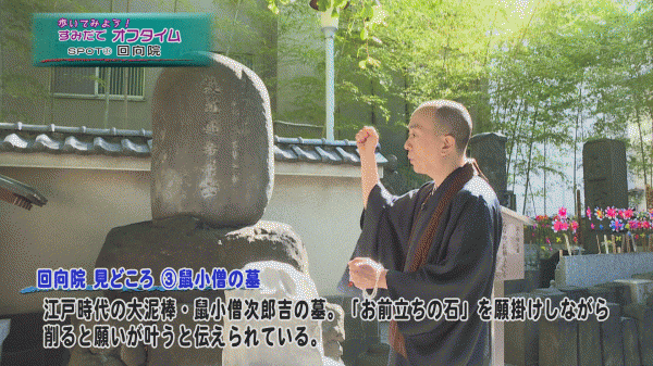  ウィークリーすみだ 2月23日号　9時～/16時～ 