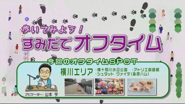  ウィークリーすみだ 11月23日号　9時～/16時～ 