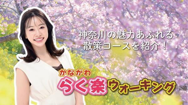  かながわ　らく楽ウォーキング　▽箱根（強羅～大涌谷） 