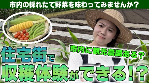  地域の農家を応援！採れたて野菜の魅力発信！ 