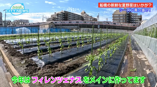  ■25/07/01 ふなばしCITY NEWS*25/07/01 
