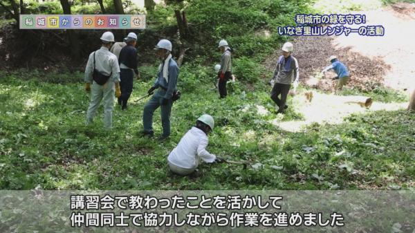  稲城市の緑を守る！「いなぎ里山レンジャー」の活動 