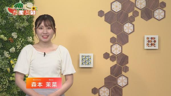  台東区広報番組「ニュースたいとう」ほか　▽7／14（日）～20（土）放送分 