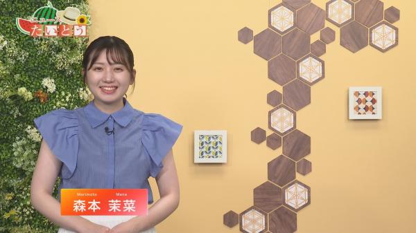  台東区広報番組「ニュースたいとう」ほか　▽6／29－7／5放送分　A 