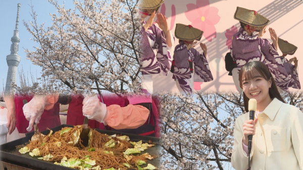  たいとうまち歩き　ほか　▽台東区制作番組　5／10－16放送号 