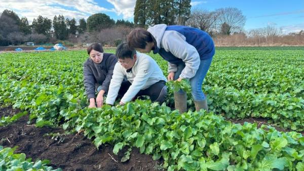  ★○26/02 テレビ市長室 *26/02/01 