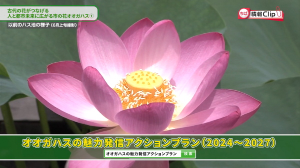  ■25/06/04-07千葉市広報番組 ちば情報Clip *25/06/04 
