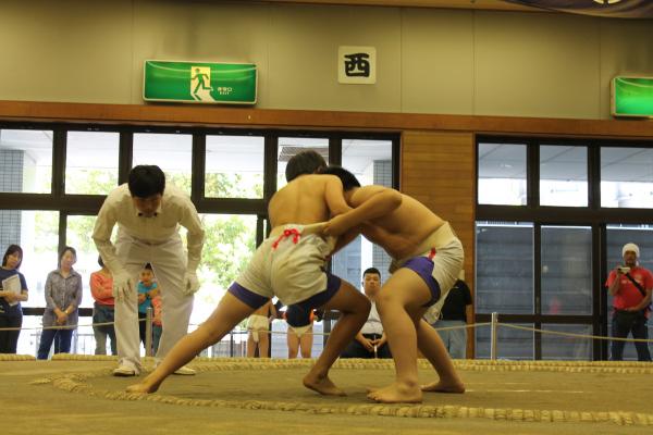 わんぱく相撲市川場所