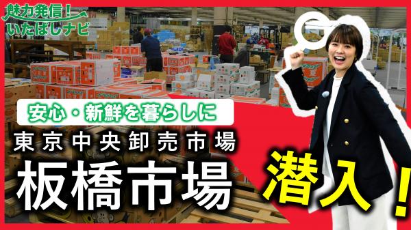  魅力発信！いたばしナビ　▽東京都中央卸売市場　板橋市場 