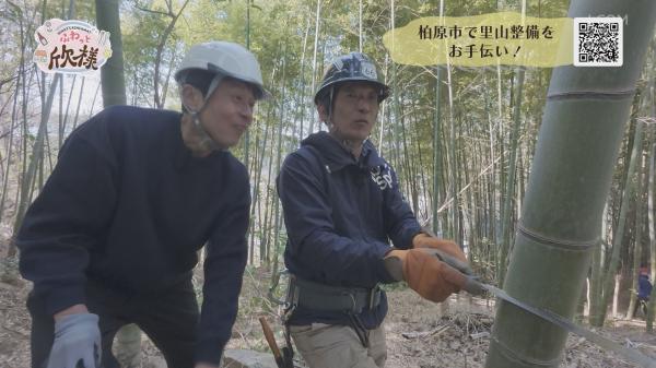  ふわっと欣様　▽柏原市内をふわふわっと♪♪ 