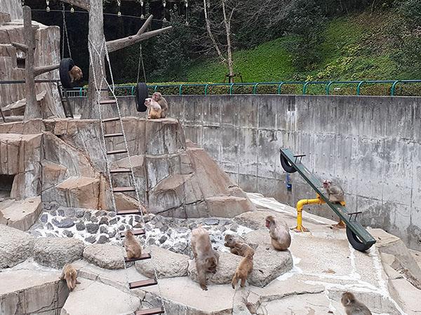 Tvで楽しむ福岡市動物園 J Comチャンネル Myjcom テレビ番組 視聴情報 動画配信が満載