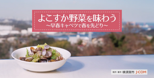  25/03 よこすかMOVIE 
