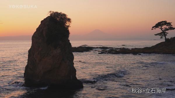 ■26/03 よこすかMOVIE*26/03/01