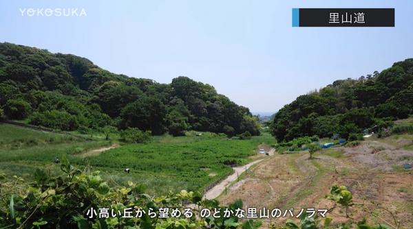  26/06 よこすかMOVIE*26/06/01 
