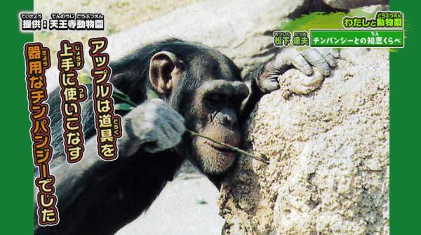  てんのうじどうぶつえんのZOOっとテレビ 