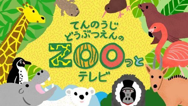  てんのうじどうぶつえんのZOOっとテレビ　選 
