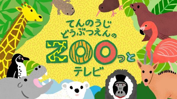 てんのうじどうぶつえんのZOOっとテレビ 選