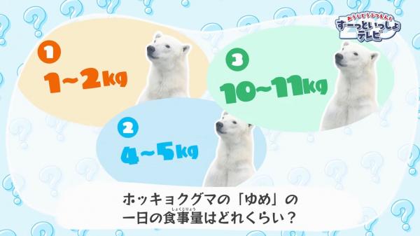 おうじどうぶつえんとずーっといっしょテレビ ▽どんな動物に出会えるかな♪