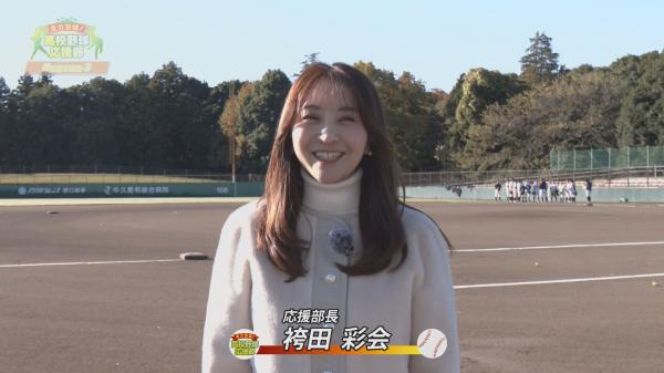 全力茨城!高校野球応援部