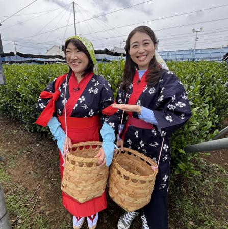  長っと散歩　東大和市　▽今が旬！新茶を贅沢満喫 