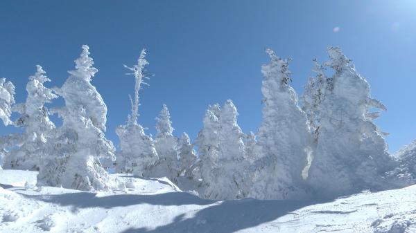 壮観劇場 ▽#54 「雪の怪物と火山の宝石」