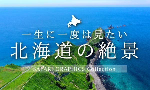  一生に一度は見たい北海道の絶景　オホーツク花回遊 