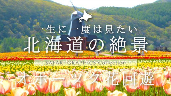 北海道の絶景　オホーツク花回遊 