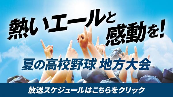第107回全国高等学校野球選手権千葉大会