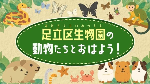 足立区生物園の動物たちと おはよう!