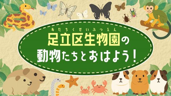  足立区生物園の動物たちと　おはよう！ 