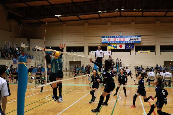 JA共済杯　第46回　神奈川県小学生バレーボール大会