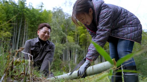 阪神・淡路大震災から31年 いま、伝えたいこと