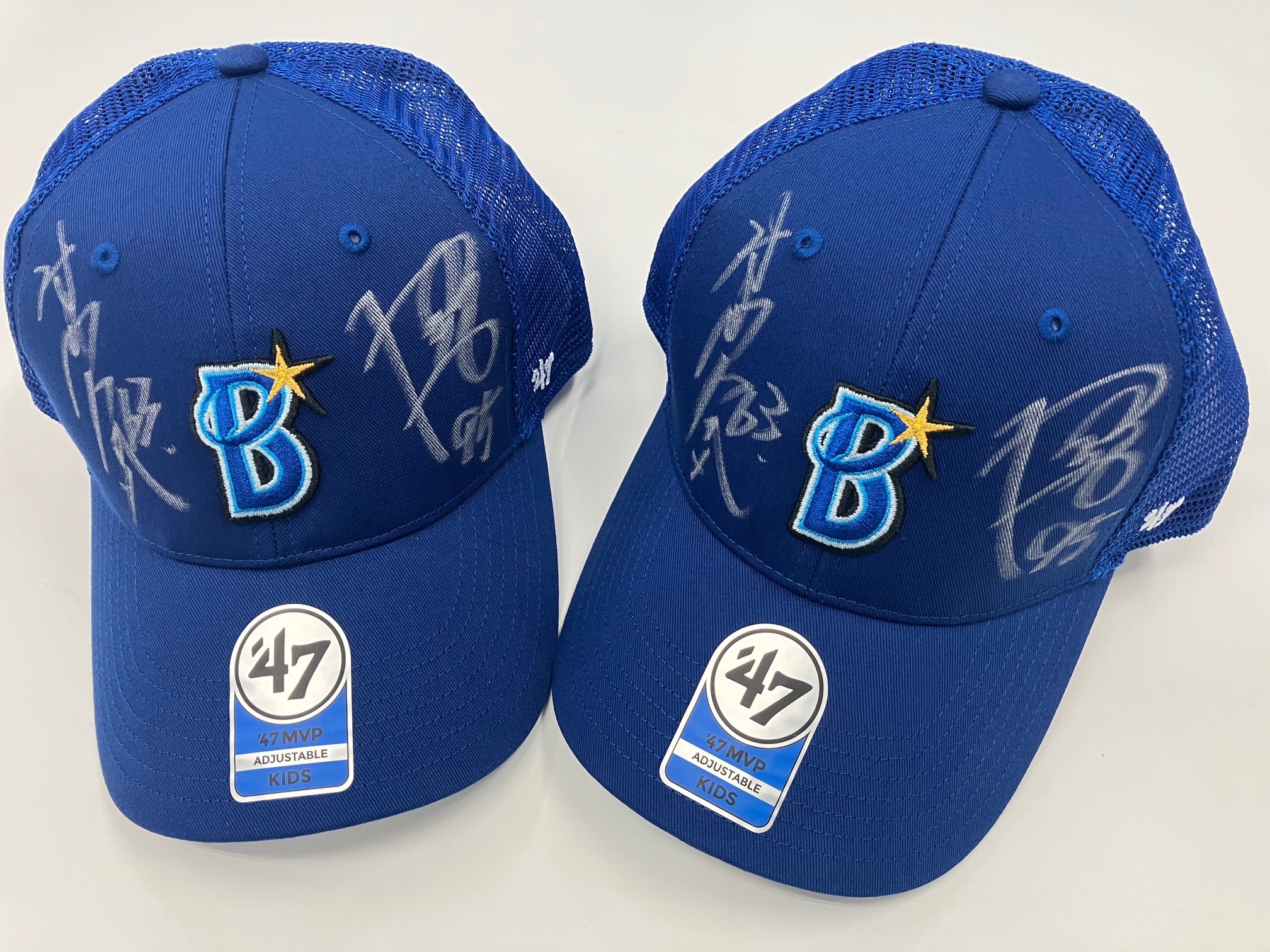 「横浜DeNAベイスターズ石川達也投手・関根大気選手サイン入りキャップ」【2名様】（9月30日〆切・今日から！ベイスターズ）