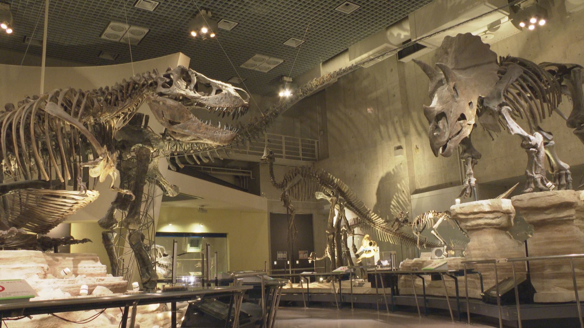 まるごとミュージアムウォッチ Jテレ J Comテレビ Myjcom テレビ番組 視聴情報 動画配信が満載