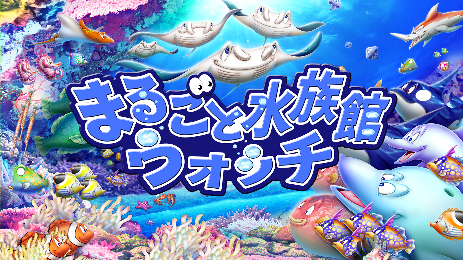 まるごと水族館ウォッチ J テレ Myjcom テレビ番組 視聴情報 動画配信が満載