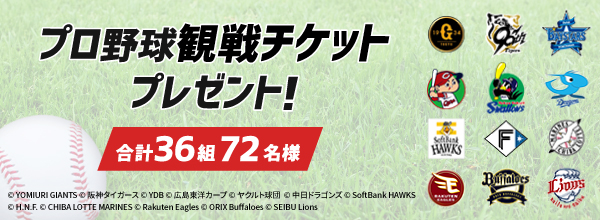 プロ野球観戦チケット