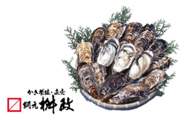 生牡蠣 2kg（殻付き）＜網元 桝政＞