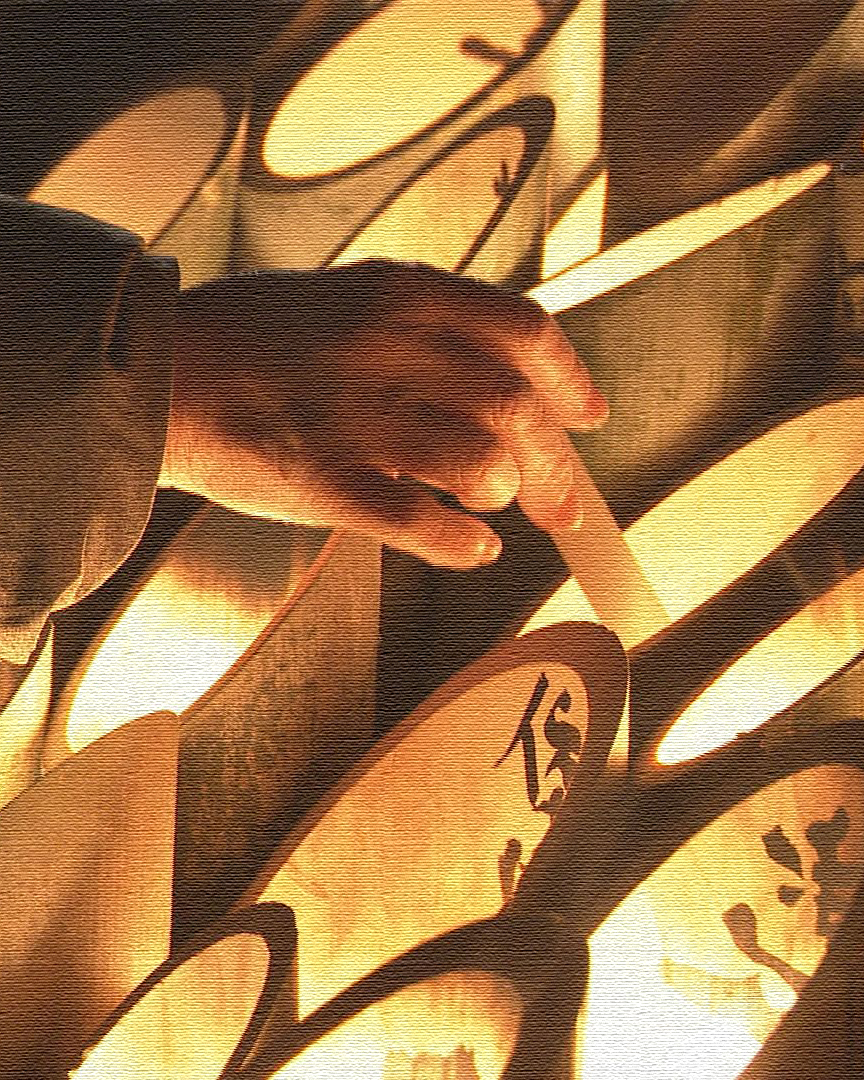 2026年1月17日放送 特別番組『阪神・淡路大震災から31年』