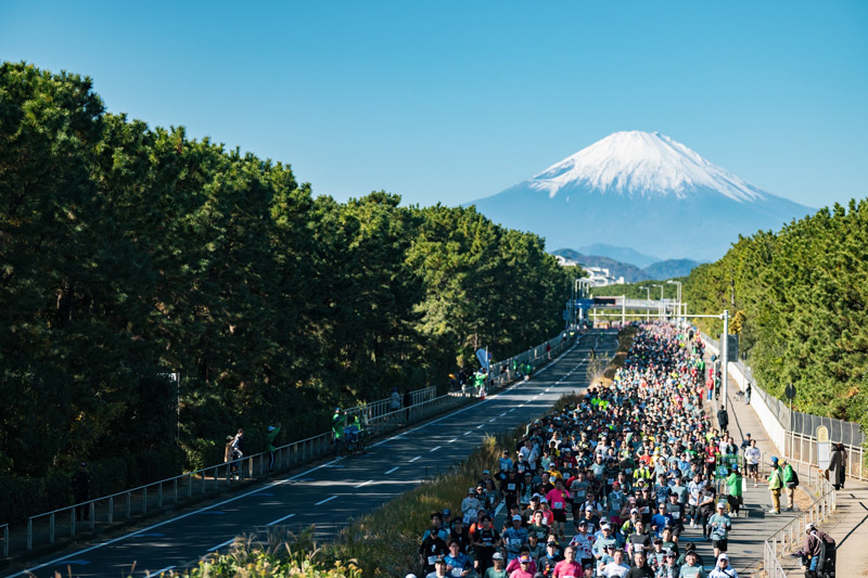 番組の見どころ