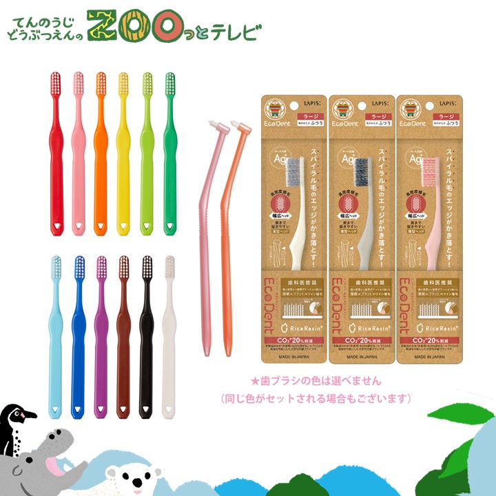 てんのうじどうぶつえんのZOOっとテレビ-2025年3月視聴者プレゼント！大人も子供も仕上げもバッチリ！歯磨きセット（40名様）