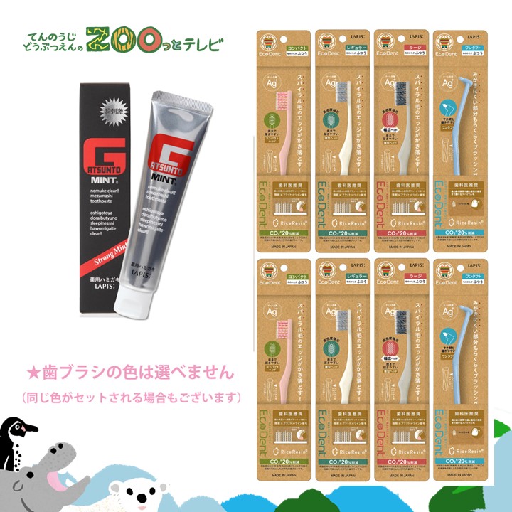 てんのうじどうぶつえんのZOOっとテレビ-2025年6月視聴者プレゼント！好みのサイズに出会える！？「エコデント全サイズ＆ワンタフト」ハミガキセット（40名様）