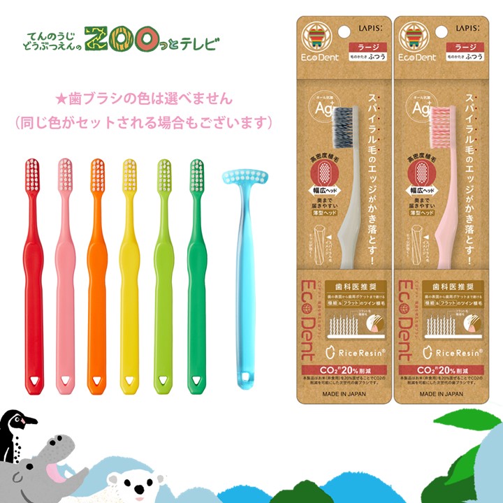 てんのうじどうぶつえんのZOOっとテレビ-2025年7月視聴者プレゼント！歯垢も舌苔もしっかり除去！ファミリー口腔ケアセット（40名様）