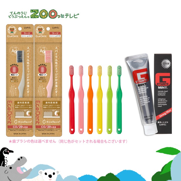 てんのうじどうぶつえんのZOOっとテレビ-2025年9月視聴者プレゼント！大人も子供もしっかり歯みがきセット（40名様）