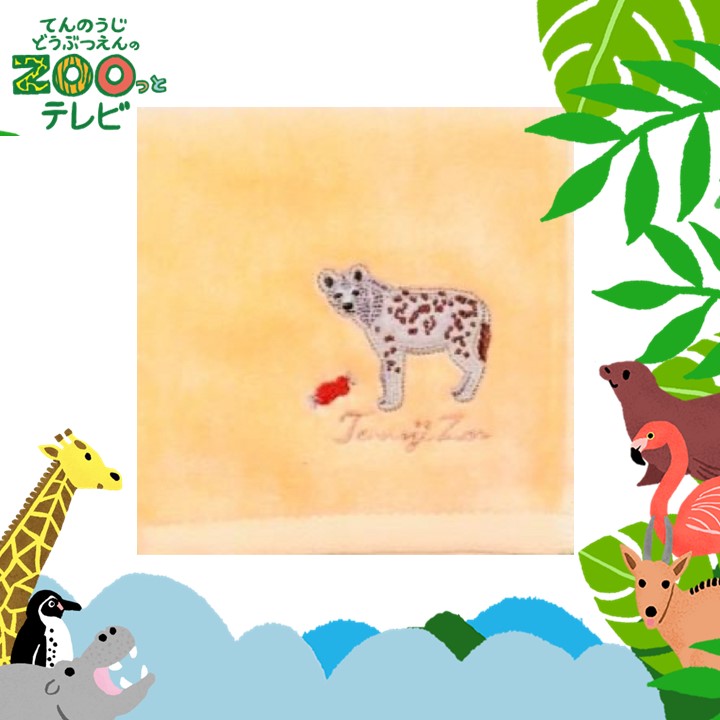 てんのうじどうぶつえんのZOOっとテレビ-2025年9月視聴者プレゼント！ クイズでプレゼント！【天王寺動物園オリジナル】プチタオル　ブチハイエナ（5名様）