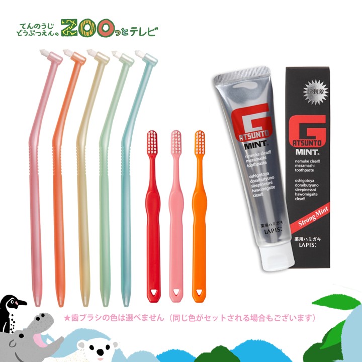 てんのうじどうぶつえんのZOOっとテレビ-2025年11月視聴者プレゼント！目指せ！家族みんなで「磨き残しゼロ」セット（40名様）