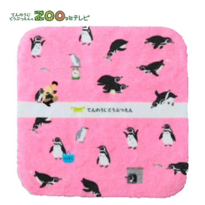 てんのうじどうぶつえんのZOOっとテレビ-2026年4月視聴者プレゼント！ クイズでプレゼント！【天王寺動物園オリジナル】ミニタオル ペンギン（10名様）