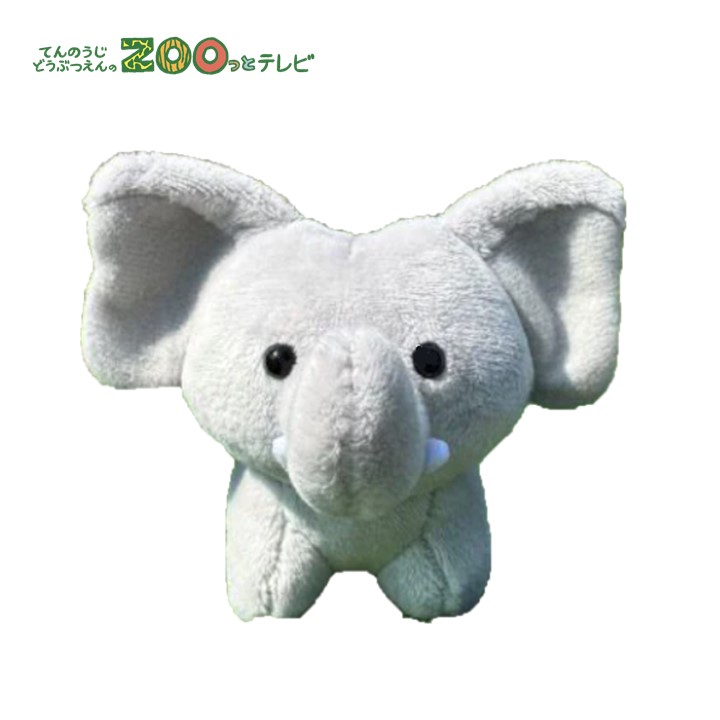 てんのうじどうぶつえんのZOOっとテレビ-2026年8月視聴者プレゼント！ クイズでプレゼント！【天王寺動物園オリジナル】マスコットキーチェーン ゾウ（5名様）