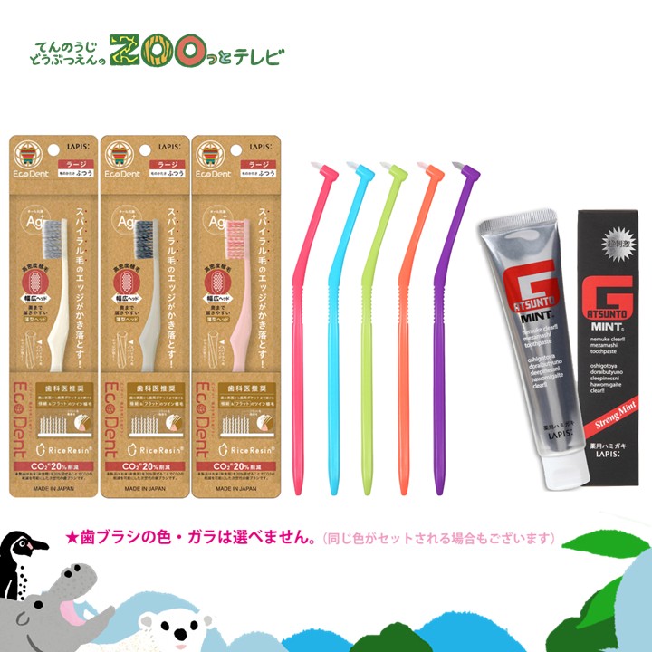 てんのうじどうぶつえんのZOOっとテレビ-2026年9月視聴者プレゼント！隅々までスッキリ！口腔ケアセット（30名様）