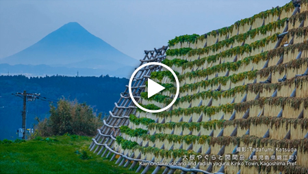 絶景九州 The Great Views Of Kyushu 21年バックナンバー J Comチャンネル Myjcom テレビ番組 視聴情報 動画配信が満載